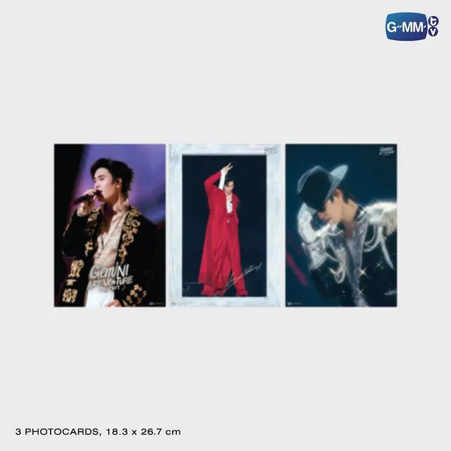 GEMINI ART-VENTURE CONCERT Official DVD Box Set